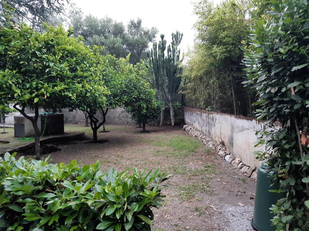 Villa Livia Villammare Exterior foto